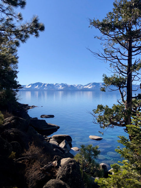 A picture of Lake Tahoe seen through the forest